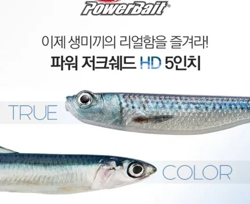 예쁜 버클리핑크멸치 지금이 기회~!!!