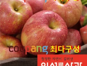 가성비 끝판왕 2023 가족 보조개사과 2.5kg2박스총 5kg 강력추천