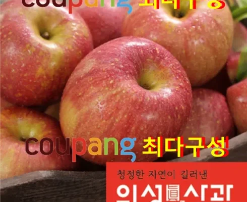 가성비 끝판왕 2023 가족 보조개사과 2.5kg2박스총 5kg 강력추천