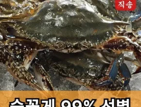 가성비 끝판왕 제철꽃게 후기