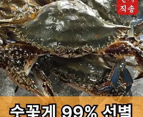 가성비 끝판왕 제철꽃게 후기