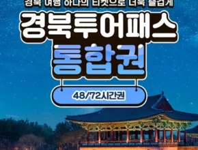 인플루언서들도 사용하는 투어패스 강력추천